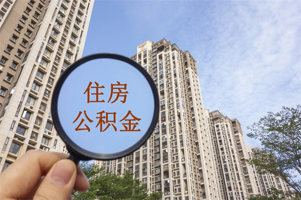 公积金还看征信吗吗_宁阳公积金代办在职离职封存服务